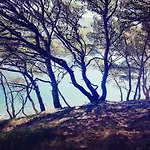 Hanas Dream Places Lägenhet Zaton (Dubrovnik-Neretva)