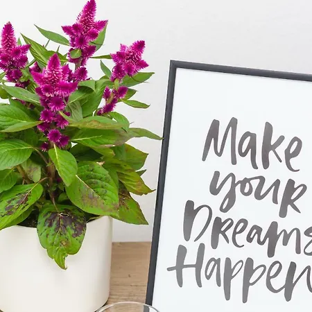 Апартаменты Hanas Dream Places Затон