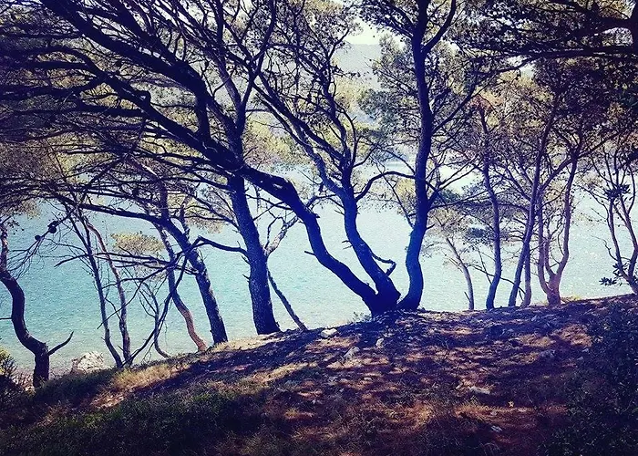 Hanas Dream Places شقة زاتون