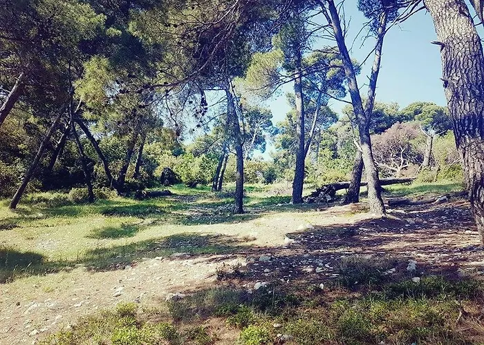 Hanas Dream Places شقة *